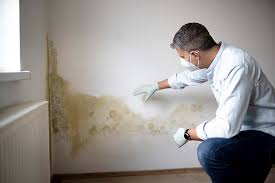 Forensic Mold Investigation in Coleytown, CT